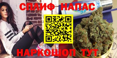 mdpv Будённовск