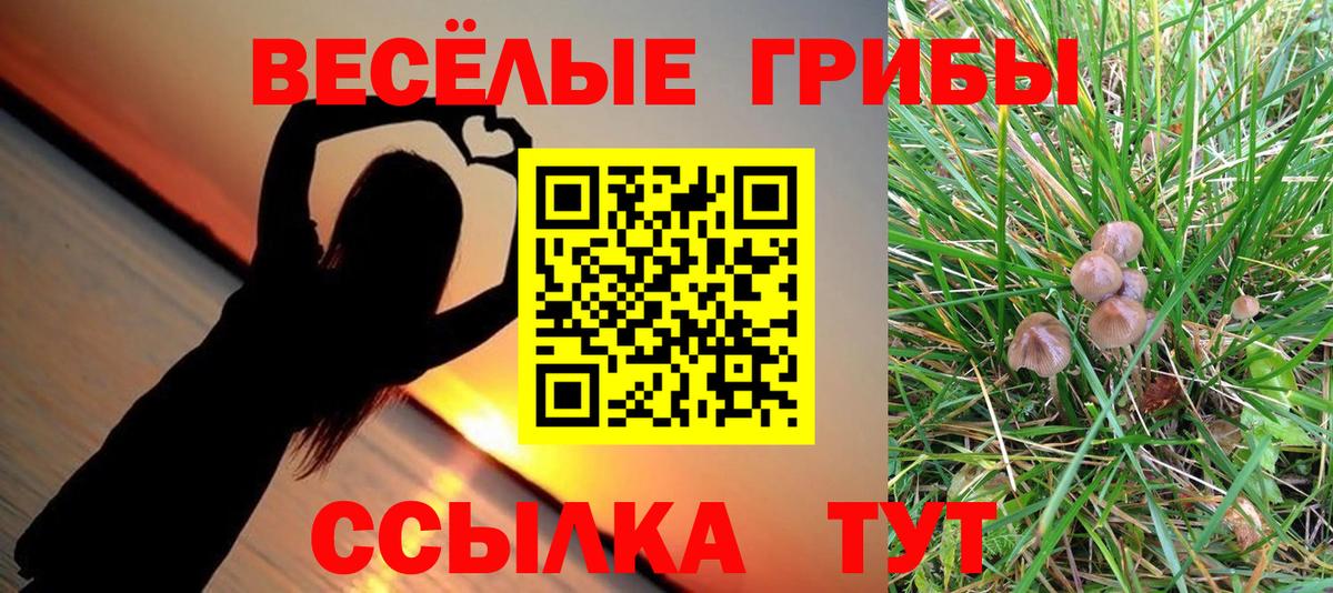 Галлюциногенные грибы Psilocybe  Вход с VPN  Галлюциногенные грибы GOLDEN TEACHER  Нефтекумск 