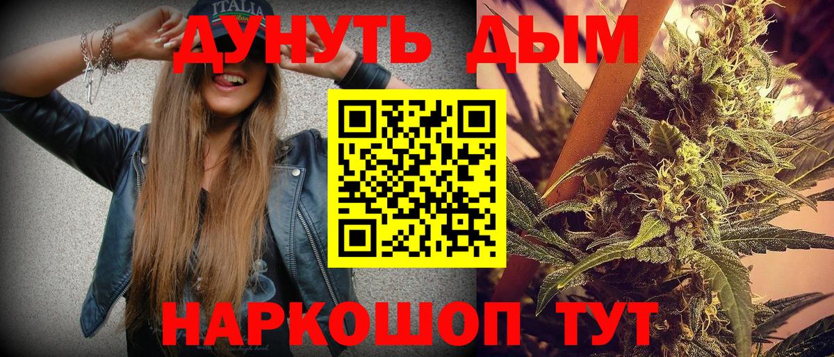 Бошки марихуана семена  Шишки марихуана план  Вход с VPN  Конопля Bruce Banner  Нефтекумск 